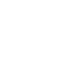 Co-branded certification issued by LSDB and partner institutions vector icon
