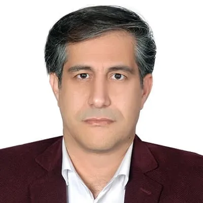 Mehdi Khashei